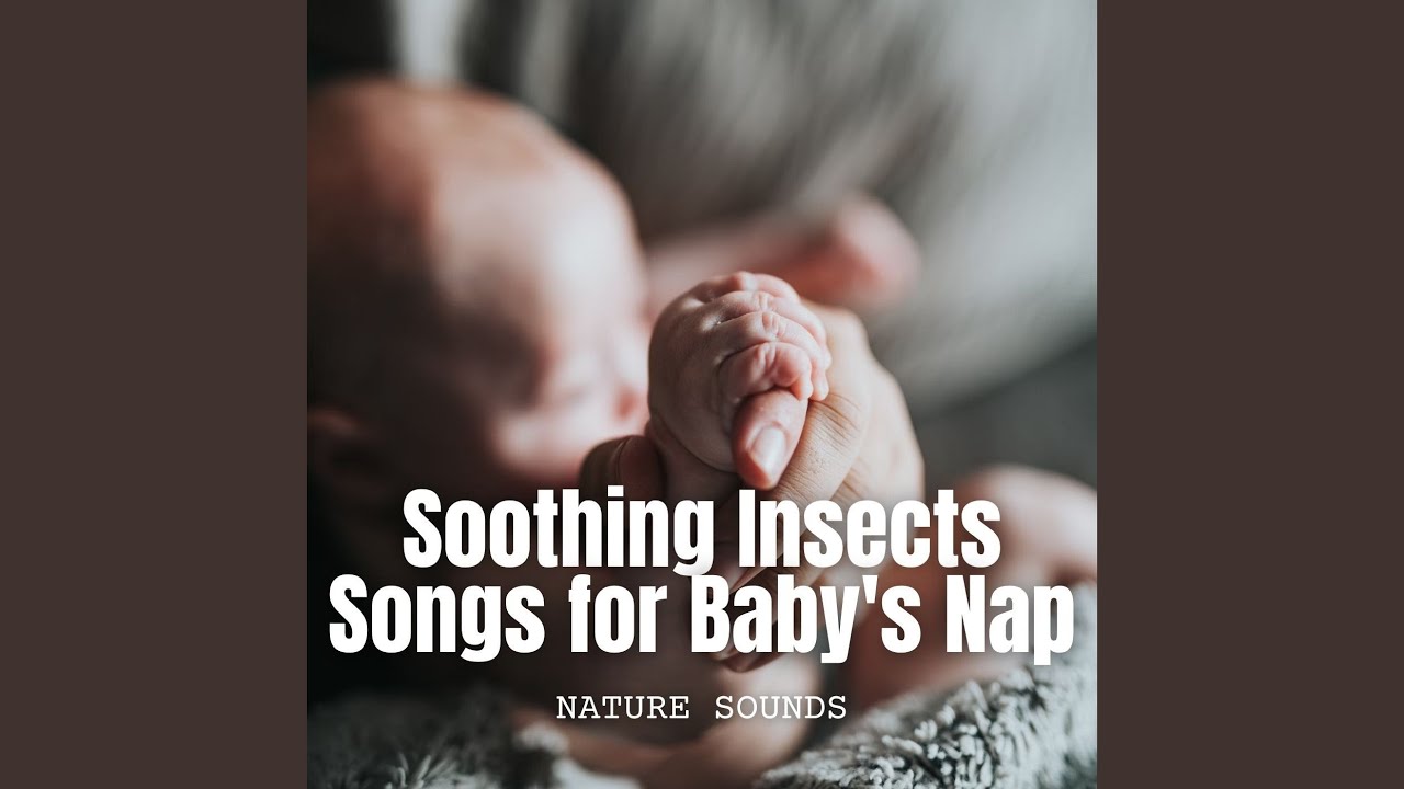 Soft Summer Evening Hum