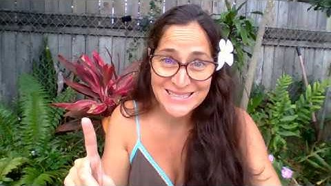 Psycho-Cybernetics – Chapter 1 – The Self Image: Your Key to a Better Life