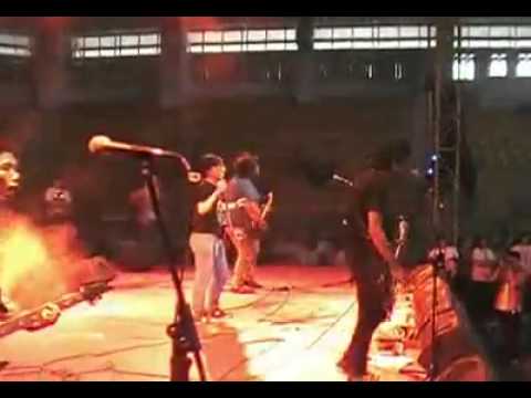 FOR REVENGE   Roborovski joss