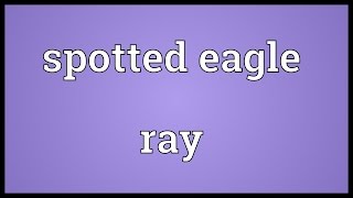 Spotted eagle ray Meaning