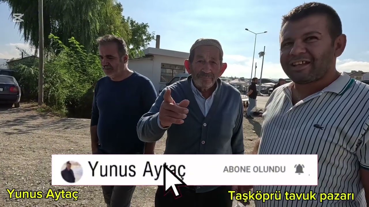 Taşköprü Tavuk Pazarı | Taşköprü’nün Meşhur Tavuk Pazarı haftalık güncel fiyatları 