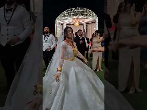 شدكولون العروس تستاهل كل عذا ذهب لو لا