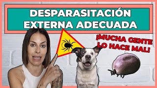 PARÁSITOS EN PERROS Y GATOS ⚠ | ¿CÓMO terminar con PULGAS, GARRAPTAS y LEISHMANIA?