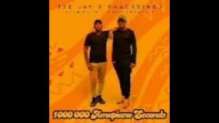  Tee Jay & ThackzinDJ – Try (Instrumental)