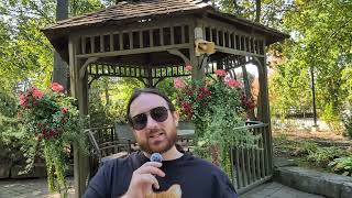 The Silent Crisis: How Wealth Inequality Fuels Our Social Breakdown