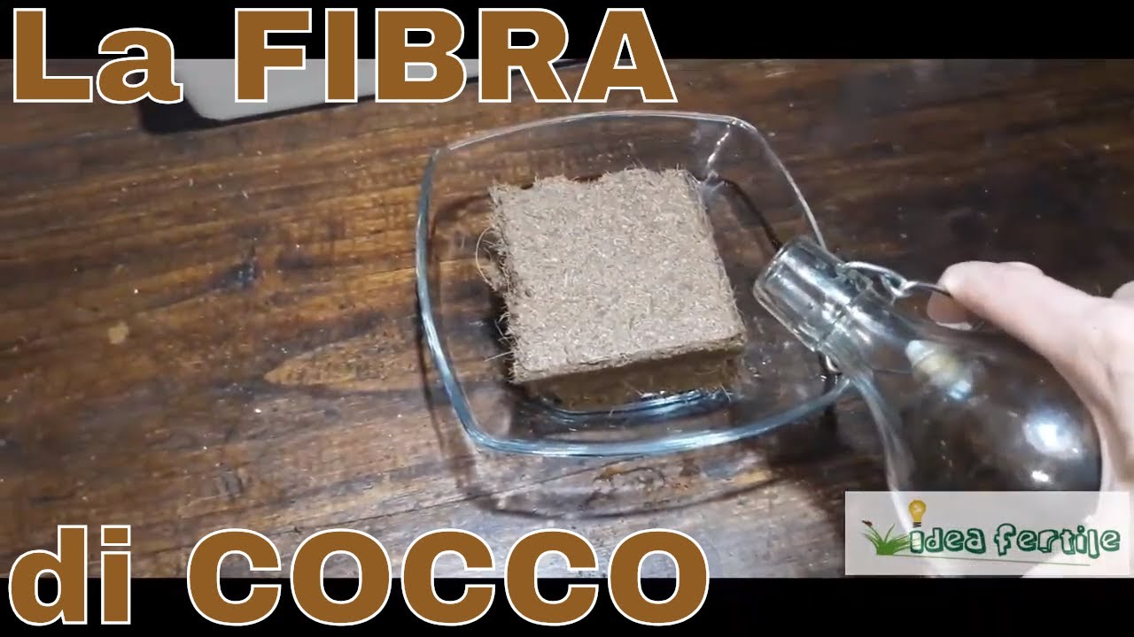 Coco fiber, watch it expanding (the perfect substrate for seedbeds