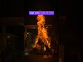 Holika Dahan ki hardik shubhkamnaye! #holikadahan
