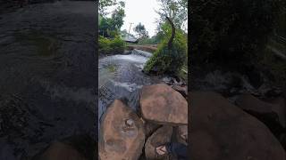 Segerr Berendam dan berenang di Sungai Alami #djiosmo360 #kareumbi #cicalengka #video #shorts #river