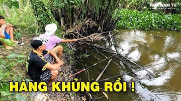 Câu Cá Miền Tây Củ Tỏi Lên Toàn Hàng Khủng Cong Cần Câu/Fishing/NGÃ NĂM TV