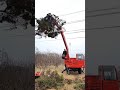 0032.Domineering! Excavator equipped with giant claws,rotate 360 ° ,clear the weed pile in seconds!