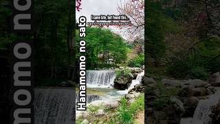 Late Season Hanamomo no Sato, Nagano 🌸 Waterfall & Last Flowers #japantravel #nagano #flowers