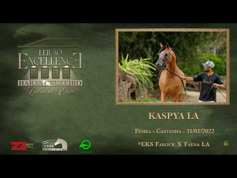 LOTE 11 - KASPYA LA