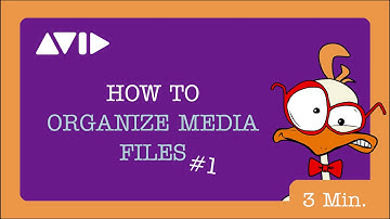 How To Organize Media Files #1