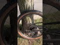 Scott spark 970