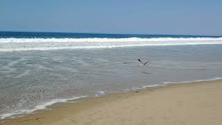 Monterey California Ocean