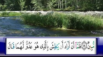 الربع 155/الشيخ محمد جبريل /من سورة القصص