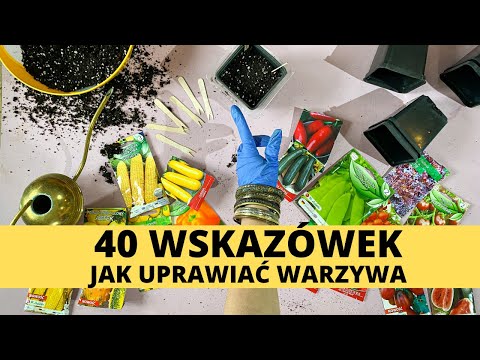 Wideo: Wskazówki Dotyczące Wyboru Nowego Barwnika