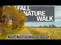 Meyers River View Virtual Walk in Nature - City Walks Virtual Treadmill Walking Tours