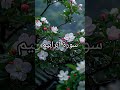 Quran Recitation ❣️#love #quran #quranrecitation #quranforeever #motivation #shorts