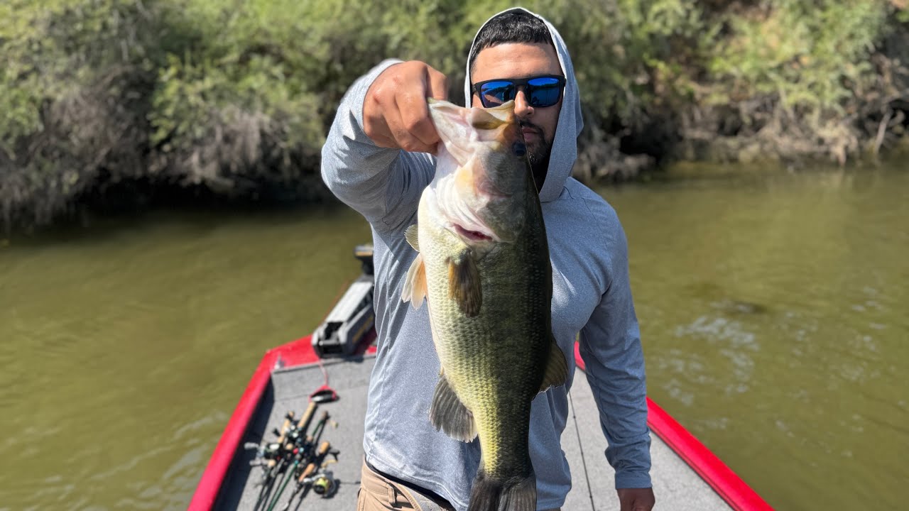 Bass Fishing on The California Delta! #bassfishing #CaDelta #StanktheTankFishing
