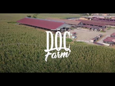 The Doc Farm -  AZIENDA AGRICOLA PESENTI Video Completo