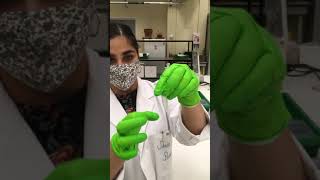 BS2060 Dictyostelium development practical (Using a hemocytometer)
