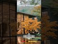 Spring Window Light - Spring Cafe Music ☕ 봄 카페 음악 힐링 플레이리스트