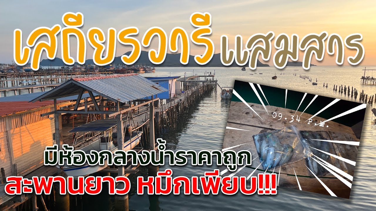 "เสถียรวารี รีสอร์ท " ห้องพักราคาถูก หมึกมีตัว