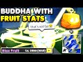 Using buddha but with max fruit stats is insane blox fruits