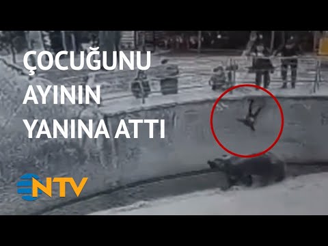 @NTV Hayvanat bahçesinde korkunç olay