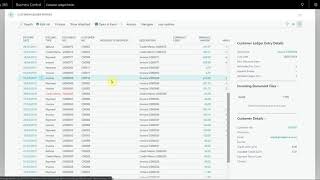 How to view applied entries in Business Central - Garage Hive