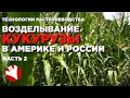 Возделывание кукурузы в Америке и России | Американские технологии выращивания кукурузы