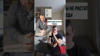 От чего растут мышцы?   #зож #бодибилдинг #фитнес #тренировки