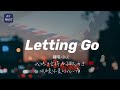 D Z 翻唱 Letting Go 我終於捨得為你放開手 因為愛你愛到我心痛 男聲版