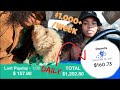 How To Earn $1000+ Weekly Using Postmates & Wag! Dog Walking | Tips & Tricks | THE GRIND
