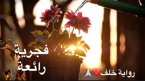 صلاة الفجر الشيخ عكاشة كميني | فجرية رائعة | برواية خلف ❤️🙏🏻