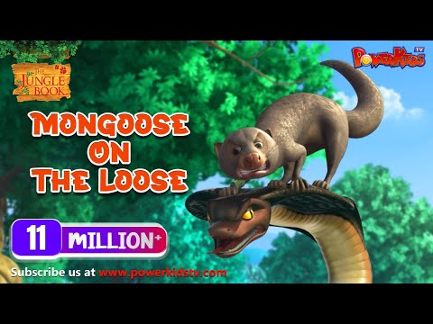 जंगल बुक सीजन 1 हिंदी में | हिंदी कहानियां | Mongoose On The Loose | मोगली की कहानिया | PowerKids