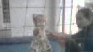 V_deo000.avi