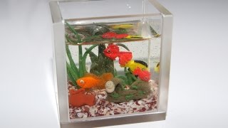 Аквариум миниатюра / Miniature aquarium
