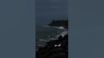 عمرو دياب اغنية خليك معايا 