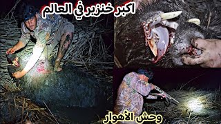 التخييم في اخطر مكان +قتل وحش الأهوار  اكبر خنزير في العالم .Pig hunting