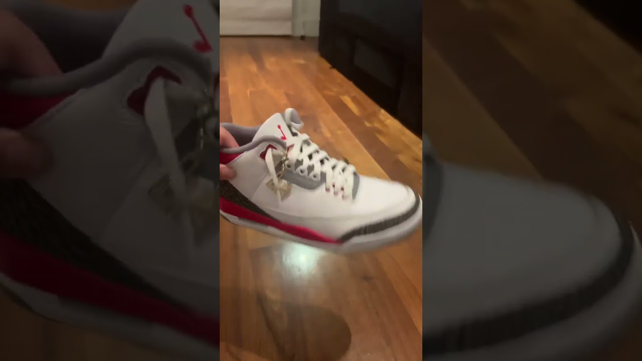 The ✨COLLECTION✨ 