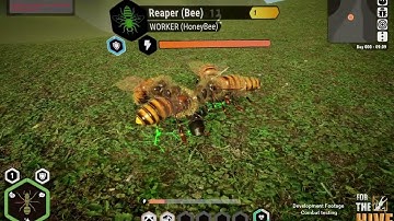 For The Hive - Combat Testing