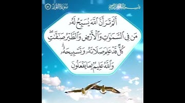 /سورة النور /الشيخ عبد الباسط عبد الصمد رحمه الله/