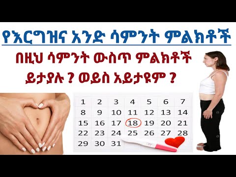 ቪዲዮ: አንድ ሳምንት በኦአካካ ከተማ እና በሁቱልኮ