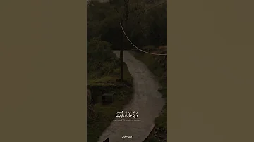 قل رب إما تريني ما يوعدون إسلام صبحي 
