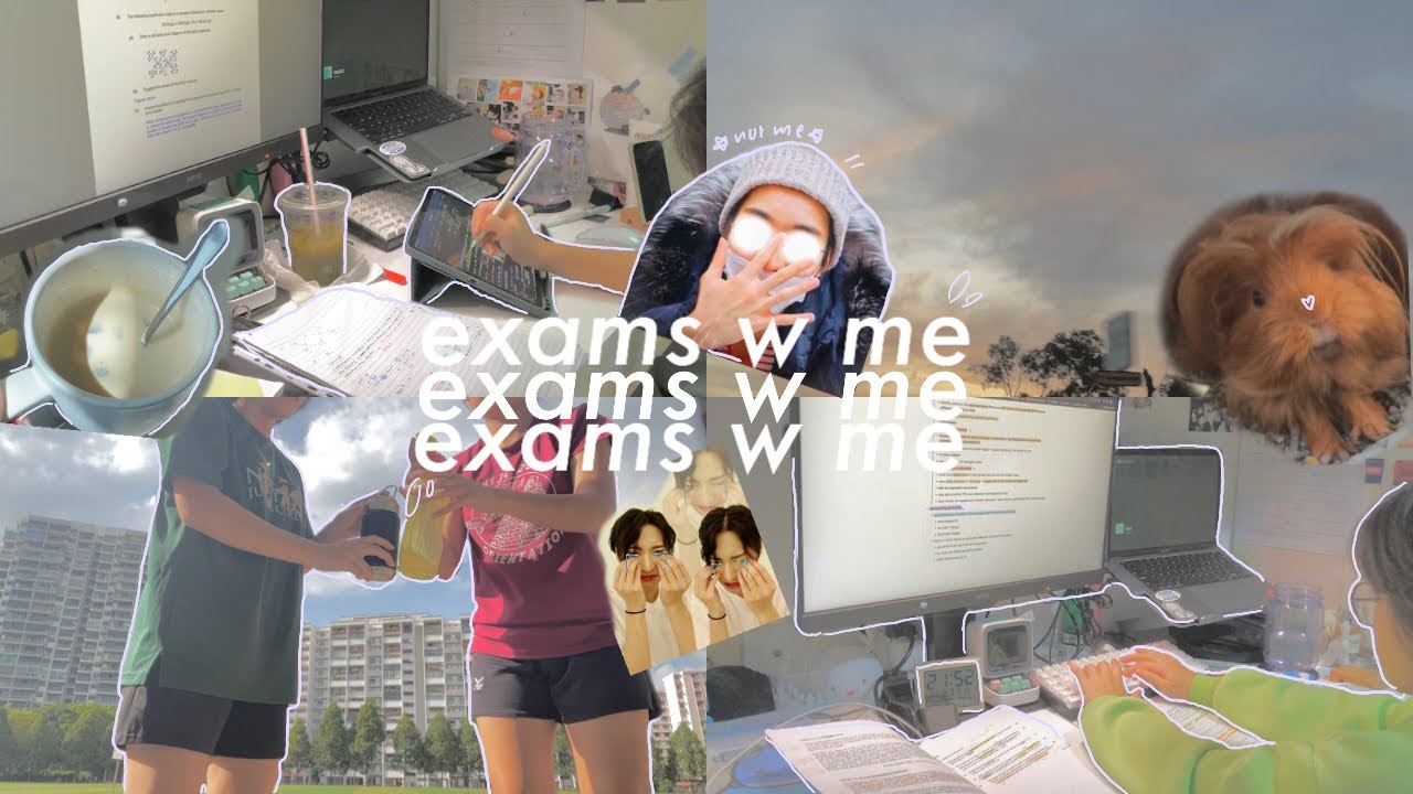 EXAMS W MEE 👹🥲😋😃😭😘: a study vlog