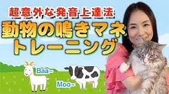Yumi S English Boot Camp Youtube Yumi S English Boot Camp Youtube