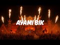 Elissa Ayami Bik Waxel Arabic Afro House Remix Elissa Ayami Bik Waxel Arabic Afro House Remix