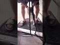 なぜかドアの使い方を変に理解した猫